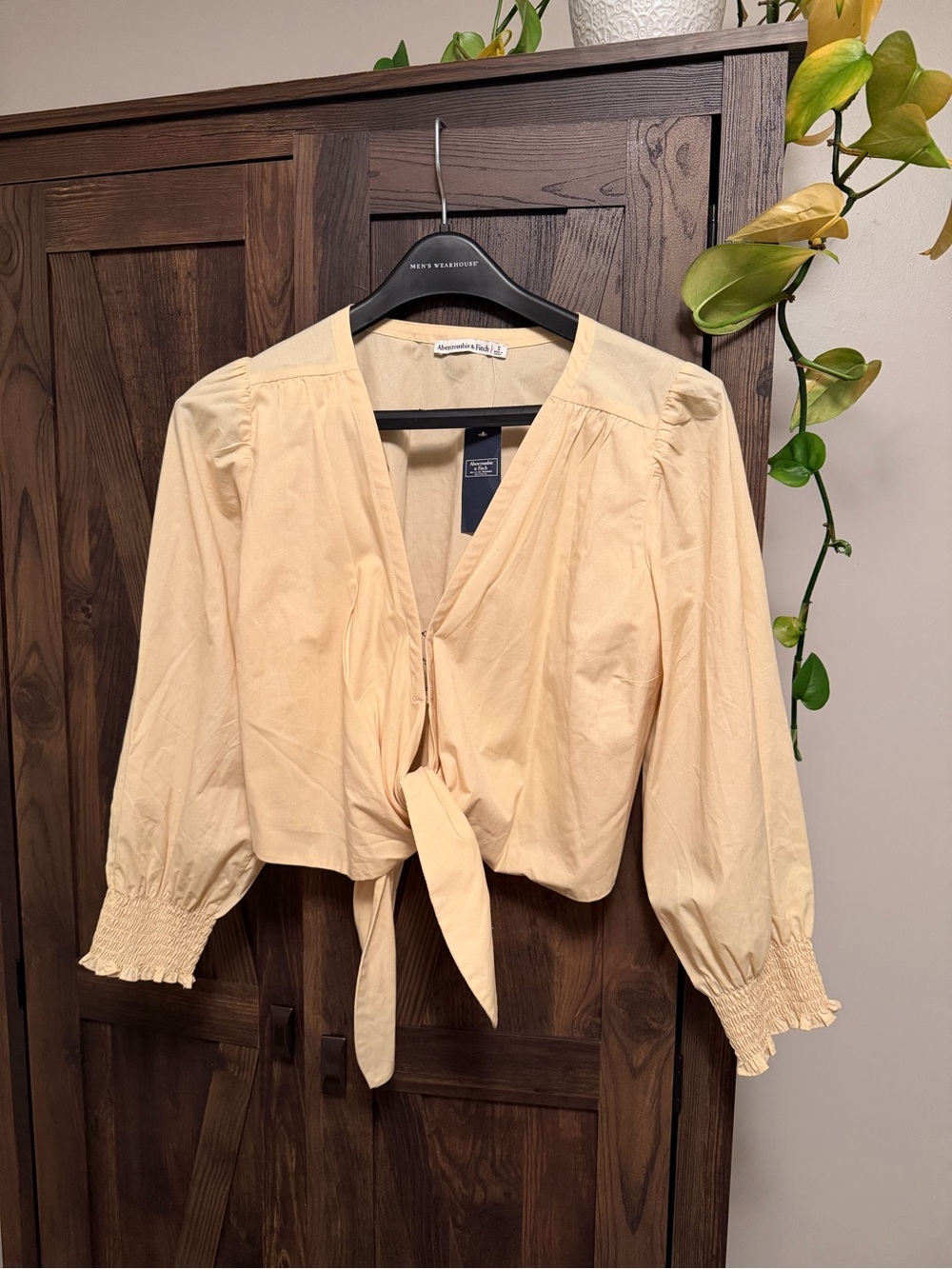 Abercrombie & Fitch Cropped Tie Top